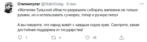 Валежник в Тульской области