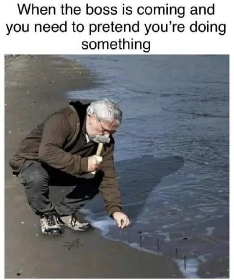 Pretending to Work When Boss Comes