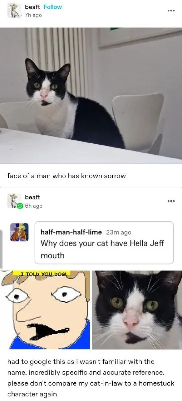 Cat With Hella Jeff Mouth