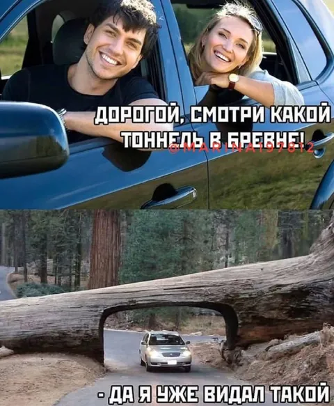 Тоннель в бревне
