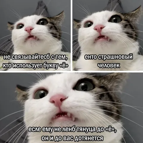 Человек, использующий букву «ё»