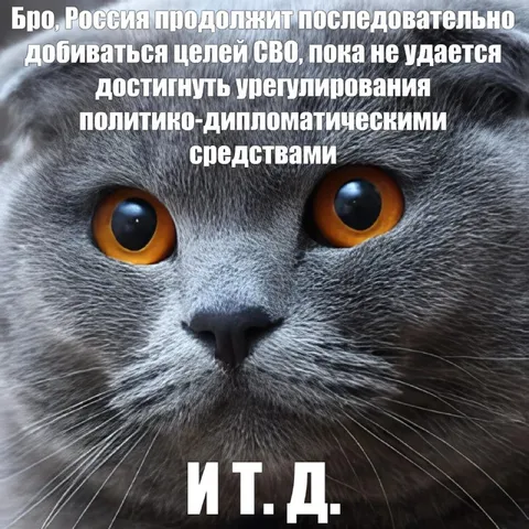 Россия добивается целей дипломатией