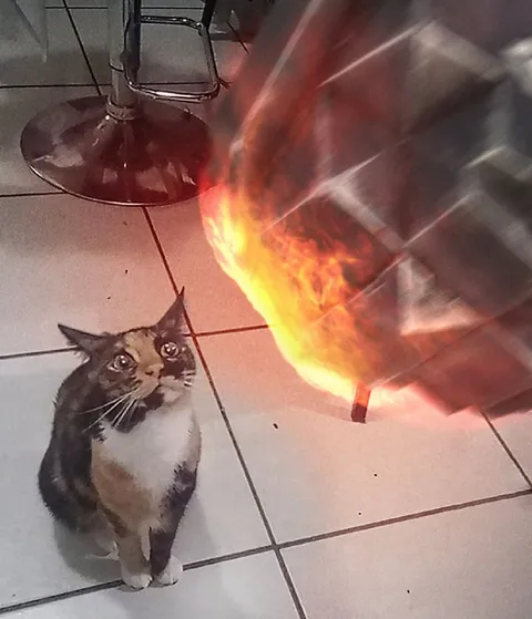 Кот смотрит на огонь