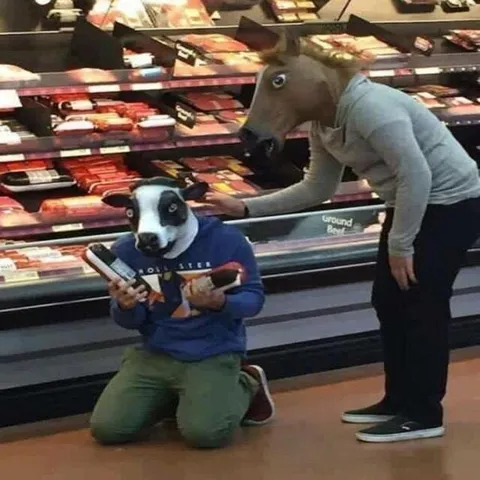 Dog Shopping for Ground Beef