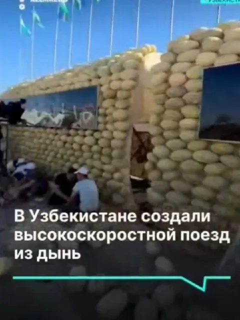 Высокоскоростной поезд из дынь