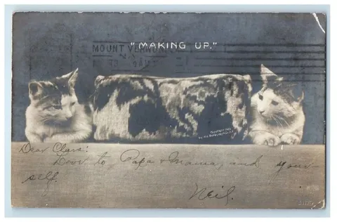 Vintage Cats Making Up