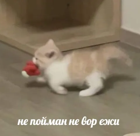Не пойман — не вор, ежи