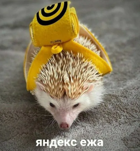Яндекс-ёж в жёлтом костюме