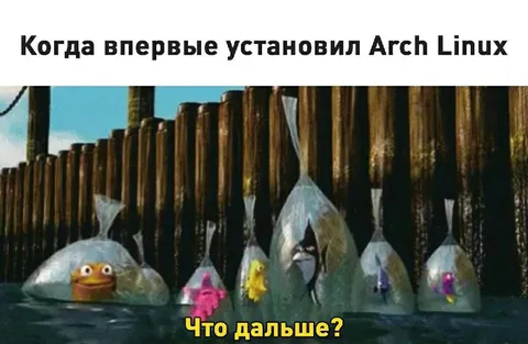 Когда установил Arch Linux