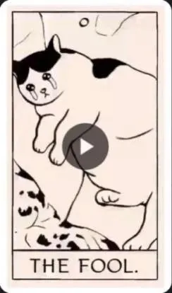 The Fool Cat Tarot Card