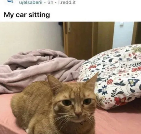 My Car Sitting on the Bed
