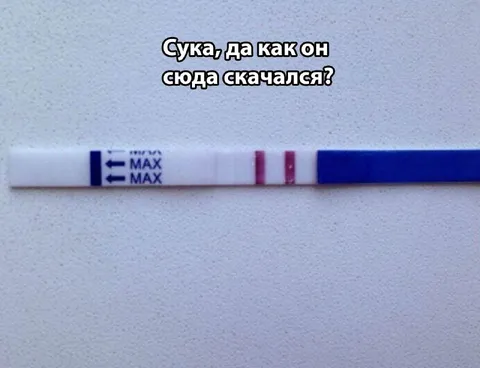 Как он сюда скачался