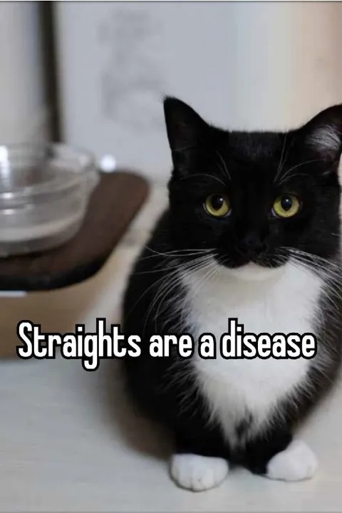 Straights Are a Disease Cat