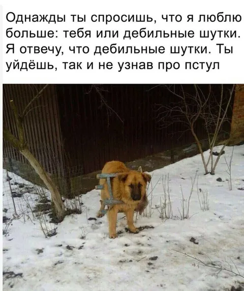 Дебильные шутки важнее любви