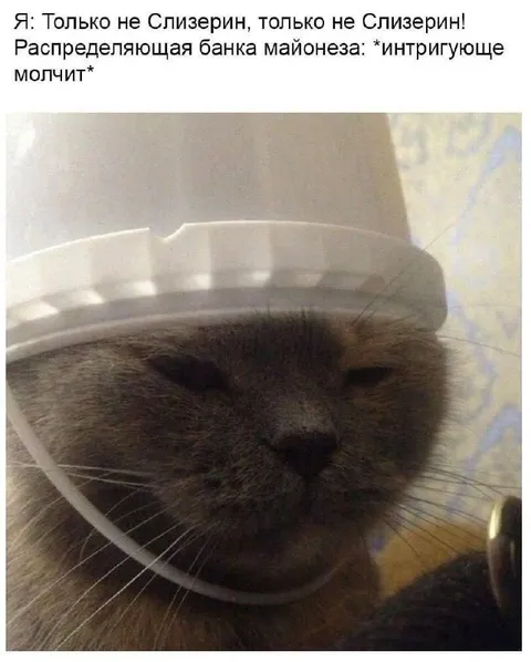 Только не Спизерин