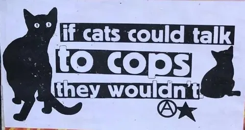 If Cats Could Talk to Cops