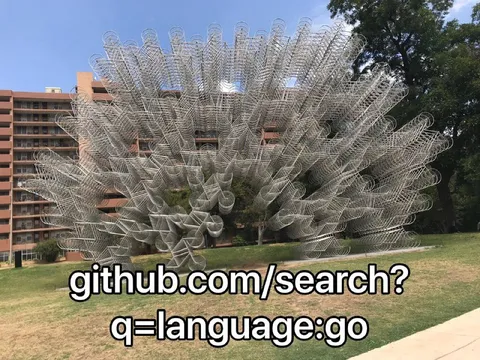 GitHub Search for Go