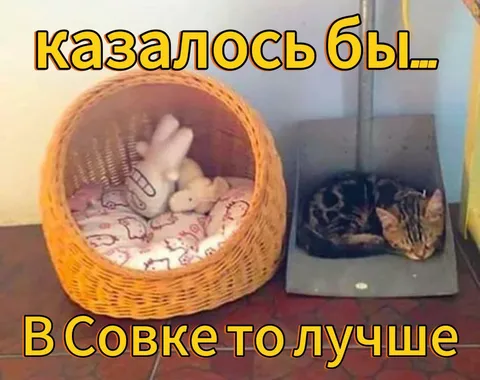 Казалось бы, в Совке лучше