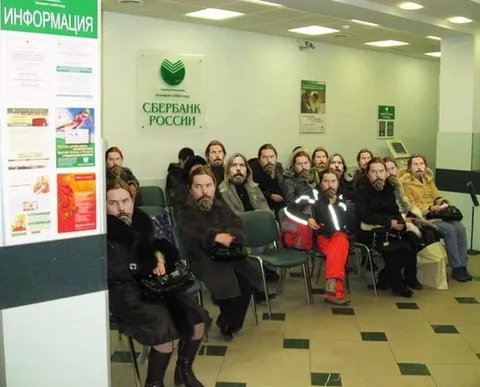 Бородатые пауки в банке