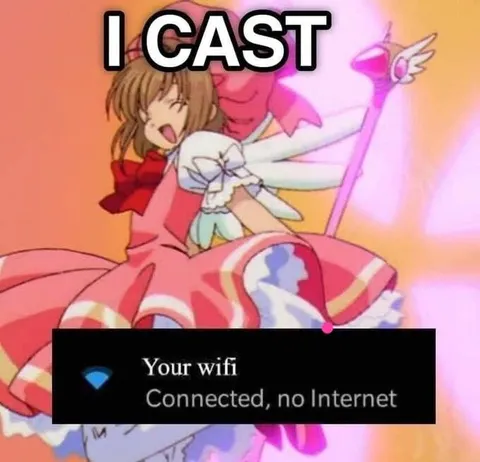 I Cast Your WiFi Connected No Internet