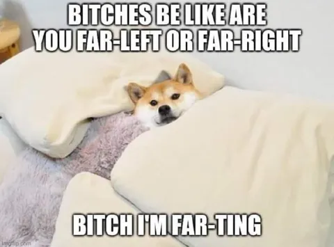 Shiba Inu Far-Ting