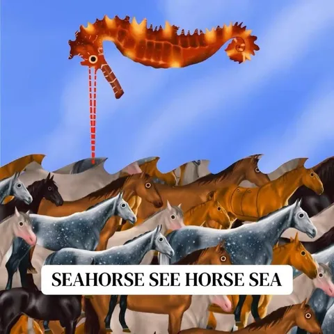 Seahorse Sees Horse Sea