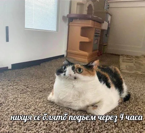 Подъём через 4 часа