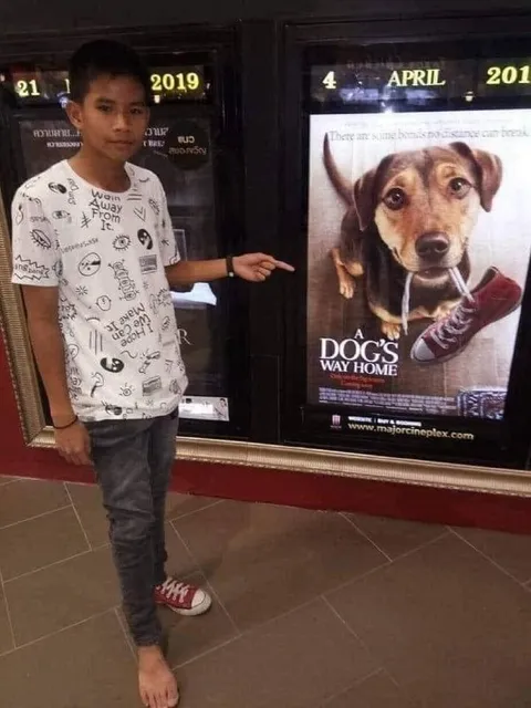Boy Points at Dog Shoe Poster