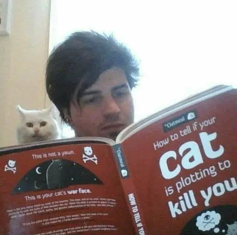 Cat Plotting to Kill You