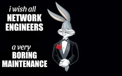 Bugs Bunny network maintenance