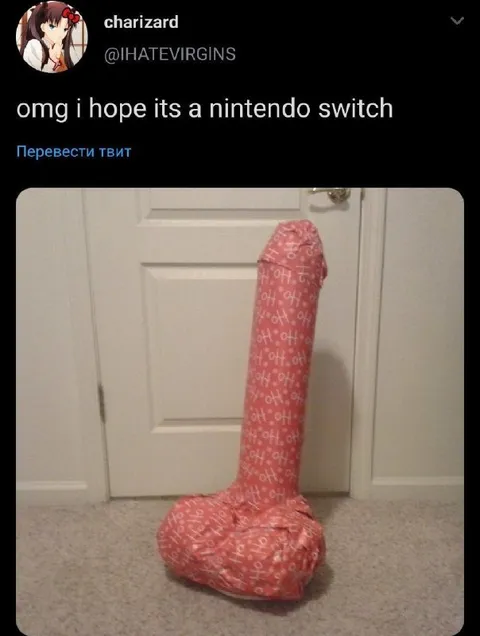 The Nintendo Switch Gift