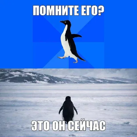 Помните его? Это он сейчас