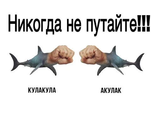 Никогда не путайте акулу и кулак