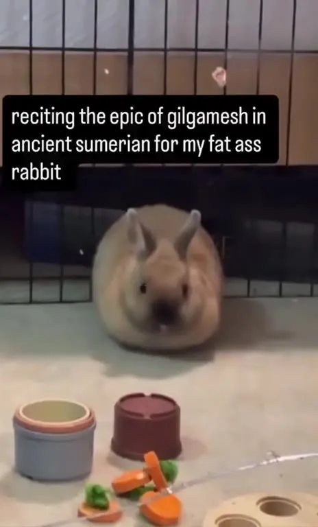 Rabbit Recites Gilgamesh