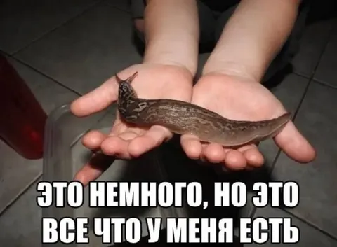 Это всё, что у меня есть