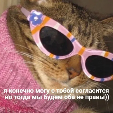 Кот, который всегда прав