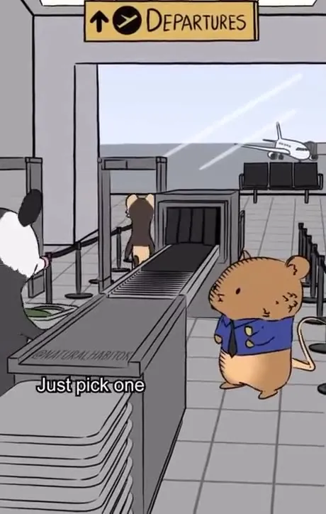 Airport Security Has Two Lines
