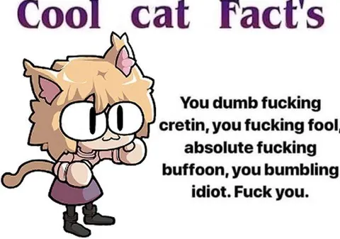 Cool Cat Facts Insult