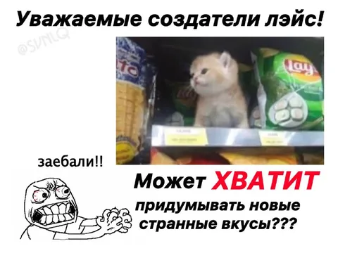 Котёнок среди странных вкусов Lay’s
