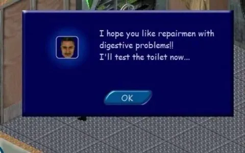 Repairman Tests the Toilet