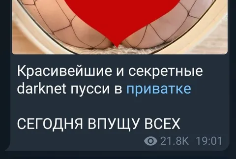 Секретные darknet пусси в приватке
