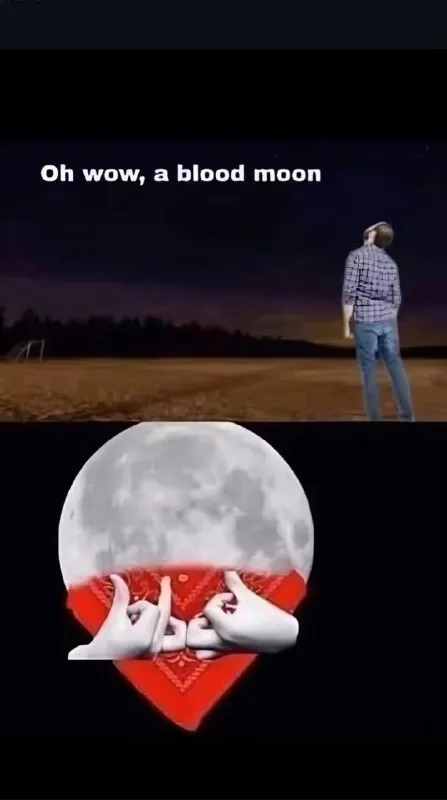 Oh Wow, a Blood Moon