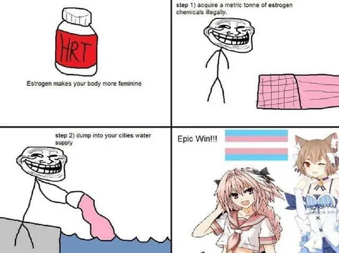 Illegal Estrogen Water Supply Plan