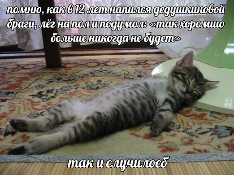Так хорошо больше не будет