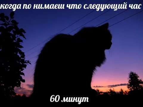 Когда понимаешь, что следующий час