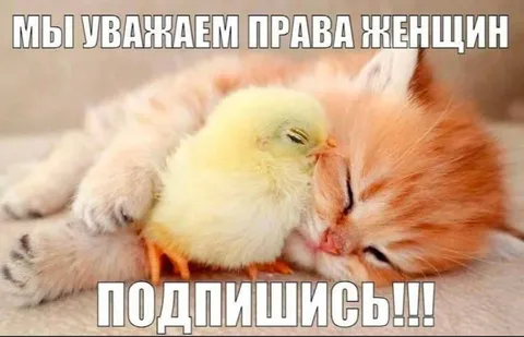 Уважение права женщин