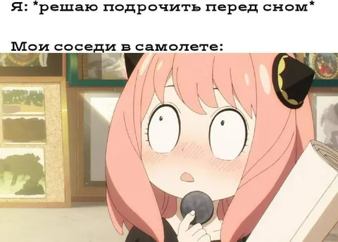 Соседи в самолёте