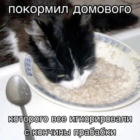 Покормил домового кашей