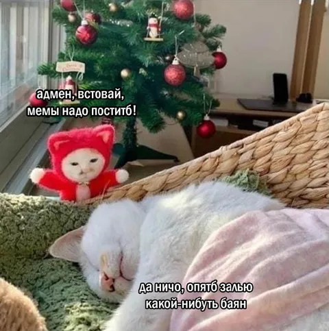 Кот снова постит баян