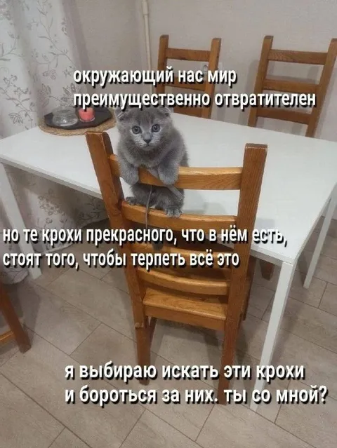 Крохи прекрасного в мире